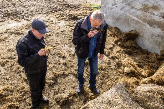 Erling Aas Eng og Rune Granaas i plansiloen Foto Morten Livenengen