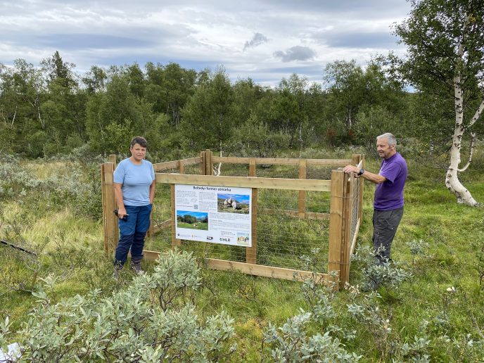 Randi Stolpnes fra Rennebu kommune og grunneier Odd Erik Stene ved beiteburet i Joldalen