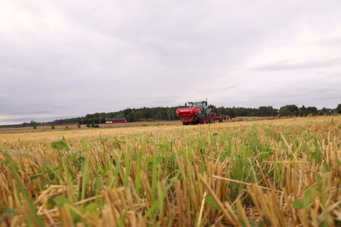 Fangvekst markdag Else Villadsen