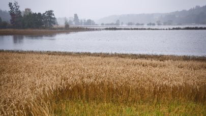 Foto: Åsmund Langeland