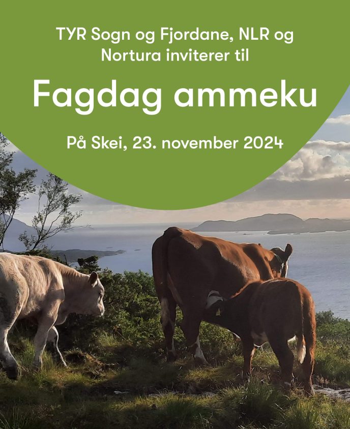 Fagdag ammeku